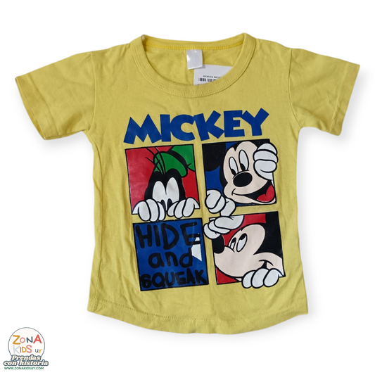 REMERA 18M